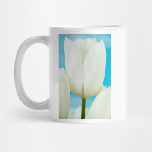 Tulipa  'White Dream'  Tulip Mug